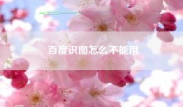 百度识图怎么不能用