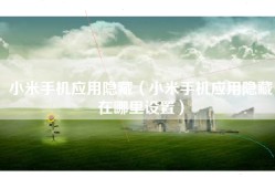 小米手机应用隐藏（小米手机应用隐藏在哪里设置）