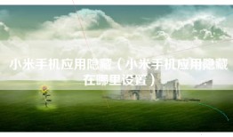 小米手机应用隐藏（小米手机应用隐藏在哪里设置）
