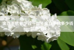金立手机多少钱一部（金立手机多少钱一部多少钱）