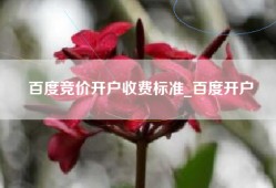 百度竞价开户收费标准_百度开户