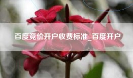 百度竞价开户收费标准_百度开户