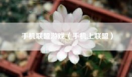 手机联盟游戏（手机上联盟）