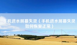手机进水屏幕失灵（手机进水屏幕失灵如何恢复正常）