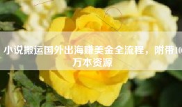 小说搬运国外出海赚美金全流程，附带10万本资源