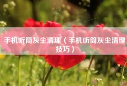 手机听筒灰尘清理（手机听筒灰尘清理技巧）