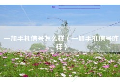 一加手机信号怎么样（一加手机信号咋样）