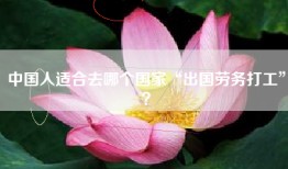 中国人适合去哪个国家“出国劳务打工”？