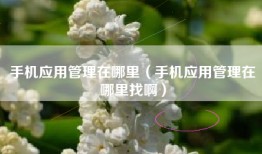 手机应用管理在哪里（手机应用管理在哪里找啊）