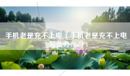 手机老是充不上电（手机老是充不上电怎么办vivo）