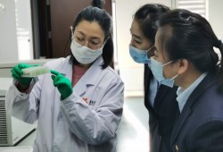 中国建设银行黑龙江省分行“智慧乡村”综合服务体系助推农业农村现代化