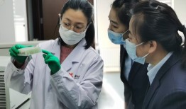 中国建设银行黑龙江省分行“智慧乡村”综合服务体系助推农业农村现代化