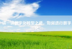 讲一讲数字化转型之道，如何进行数字化