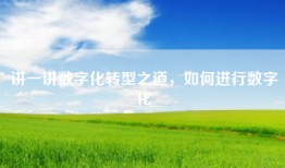 讲一讲数字化转型之道，如何进行数字化