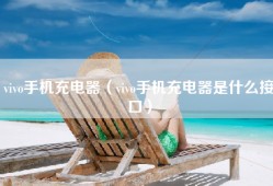 vivo手机充电器（vivo手机充电器是什么接口）