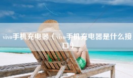 vivo手机充电器（vivo手机充电器是什么接口）