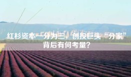 红杉资本一分为三，创投巨头“分家”背后有何考量？