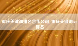 重庆关键词排名合作公司_重庆关键词seo排名