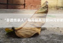 “非遗传承人”每月最高可获800元补助