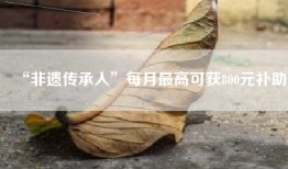 “非遗传承人”每月最高可获800元补助