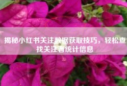 揭秘小红书关注数据获取技巧，轻松查找关注者统计信息