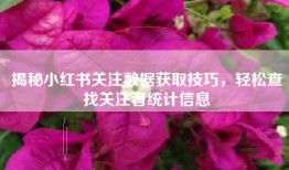 揭秘小红书关注数据获取技巧，轻松查找关注者统计信息