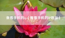 查看手机的ip（查看手机的IP地址）