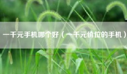 一千元手机哪个好（一千元价位的手机）