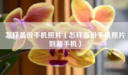 怎样备份手机照片（怎样备份手机照片到新手机）