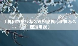 手机用数据线怎么连接电视（手机怎么连接电视）