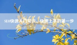 SEO快速入门常识，快速上手的第一步