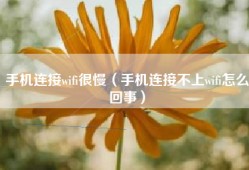 手机连接wifi很慢（手机连接不上wifi怎么回事）