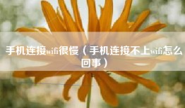 手机连接wifi很慢（手机连接不上wifi怎么回事）