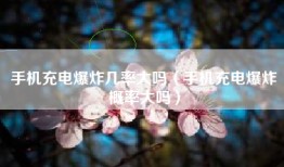 手机充电爆炸几率大吗（手机充电爆炸概率大吗）