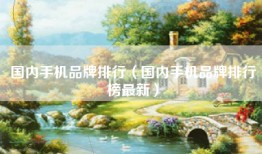国内手机品牌排行（国内手机品牌排行榜最新）
