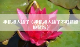 手机被人捡了（手机被人捡了不归还能报警吗）