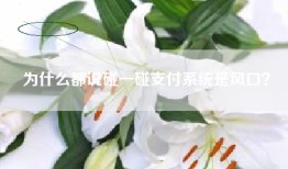 为什么都说碰一碰支付系统是风口？
