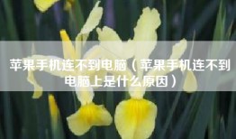 苹果手机连不到电脑（苹果手机连不到电脑上是什么原因）