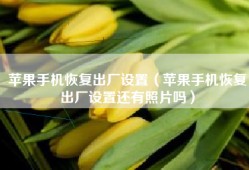 苹果手机恢复出厂设置（苹果手机恢复出厂设置还有照片吗）