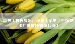 苹果手机恢复出厂设置（苹果手机恢复出厂设置还有照片吗）