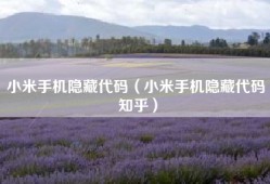 小米手机隐藏代码（小米手机隐藏代码 知乎）