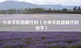 小米手机隐藏代码（小米手机隐藏代码 知乎）