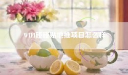 WIFI碰碰贴地推项目怎么样