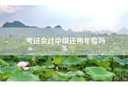 考过会计中级还用年检吗
