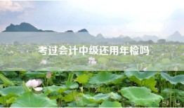 考过会计中级还用年检吗
