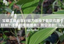 宝藏工具分享BT磁力链接下载软件哪个好用？手机和电脑都有！附安装包！+SpaceSniffer