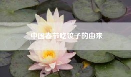 中国春节吃饺子的由来