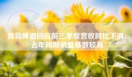 青岛啤酒回应前三季度营收同比下滑：去年同期销量基数较高