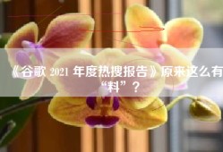 《谷歌 2021 年度热搜报告》原来这么有“料”？