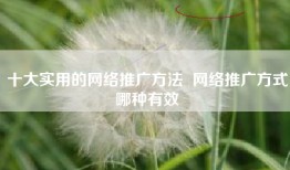 十大实用的网络推广方法  网络推广方式哪种有效